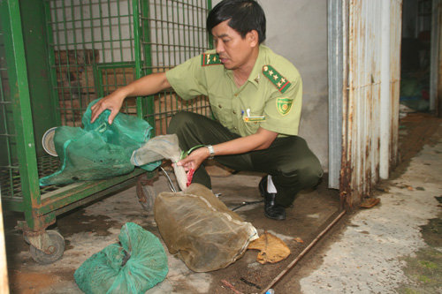 Thừa Thiên-Huế bắt giữ gần 20 kg ĐVHD vân chuyên bằng xe máy